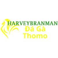  Đá Gà Trực Tiếp  Thomo