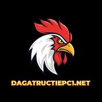 dagatructiep c1net