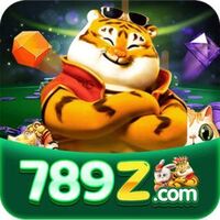 789z 