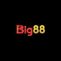 BIG88 Nhà cái bóng đá