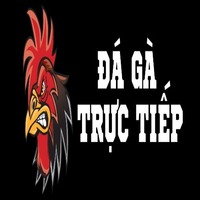 Đá Gà Trực Tiếp