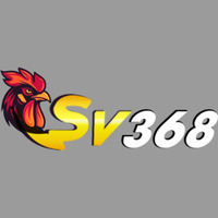 Nhà cái  SV368