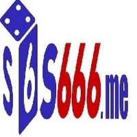 s66 tips