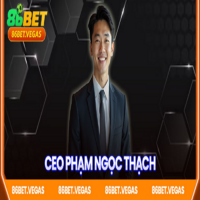 CEO Phạm  Ngọc Thạch