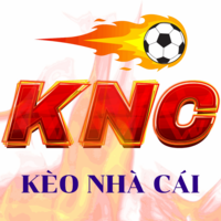 Nhận Định Kèo Nhà Cái Hướng Dẫn Soi Kèo Và Đặt Cược