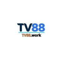tv88 work
