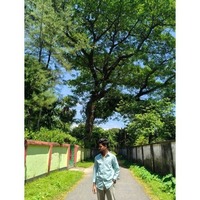 Akash K 