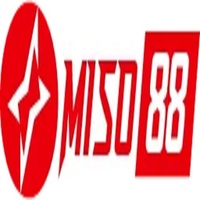 miso88bo cn com