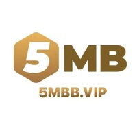 5MB 