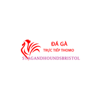 Đá Gà Trực  Tiếp Thomo