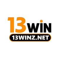 13winznet 