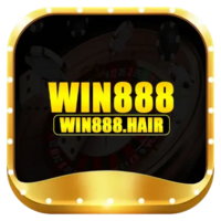 win888 hair