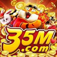 35mnetbr 