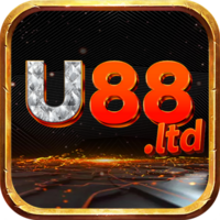 U88 ltd