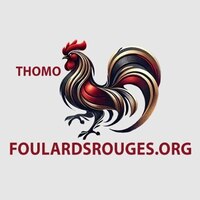 ĐÁ GÀ THOMO TRỰC TIẾP FOU