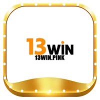 13WIN pink