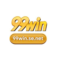 99winse net