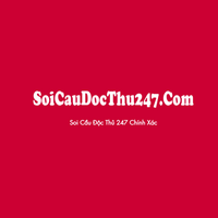 soicaudocthu247 