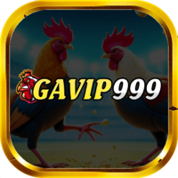 GAVIP999 CAM