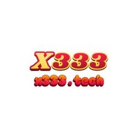 X333 