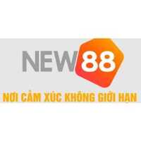 CEO Tiểu  Hòa Ca