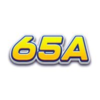 65asacom 