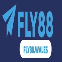 fly88 wales