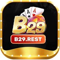 b29  