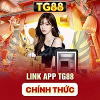 TG88 my