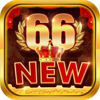 new 66