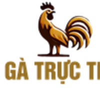 ĐÁ GÀ TRỰC TIẾP