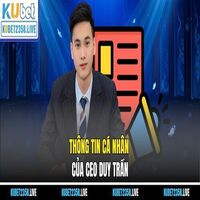 CEO  Duy Trần