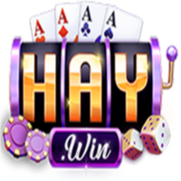 Haywin1 ninja