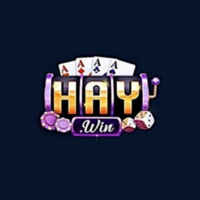 Haywin1 top