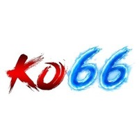 KO66 Vin