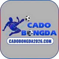 Web cá độ bóng đá 