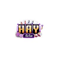 HAYWIN Bid