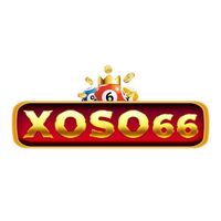 xxoso 66
