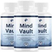 Mind Vault Memory Support