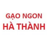 Gạo ST25 Ông Cua Chính Hãng