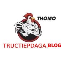 ĐÁ GÀ TRỰC TIẾP BLOG 