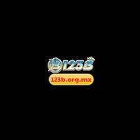 123borg mx