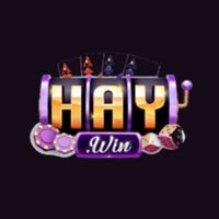 haywin de com