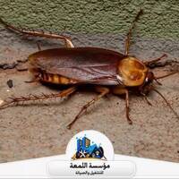 allm3aaacom allm3aaacom