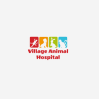 Village Animal Hospital