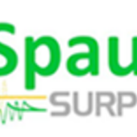 Spaulding Surplus