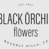 Black Orchid Flowers