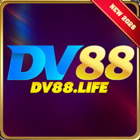 dv88 life