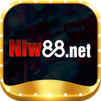 niw88   net