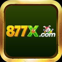 877x br com